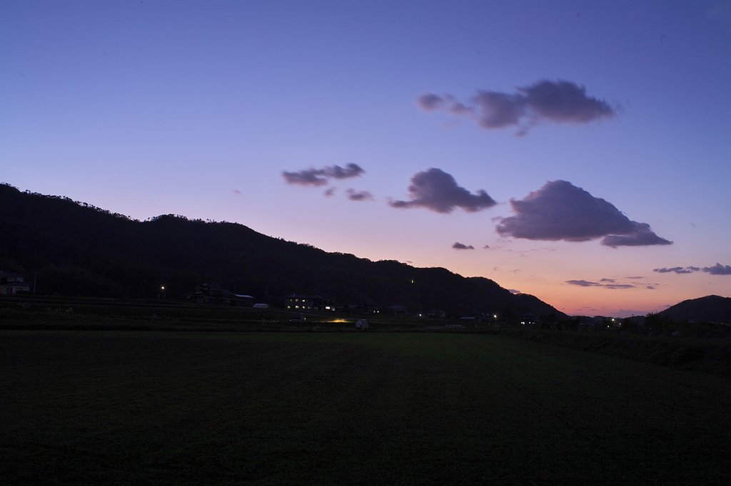 夕焼に!