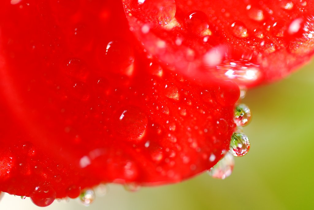 水滴（花模様））