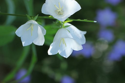 【縦撮り】片隅で・・・