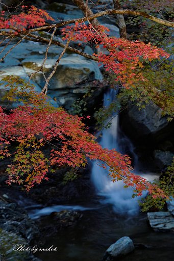 秋葉白倉峡
