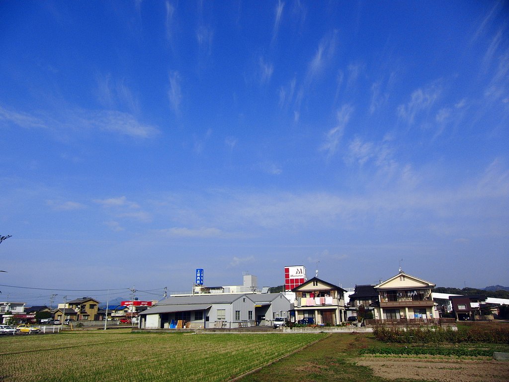 秋晴れの朝