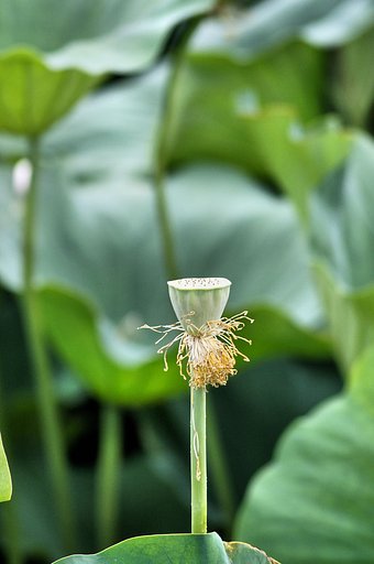 【縦撮り】  これからは・・・