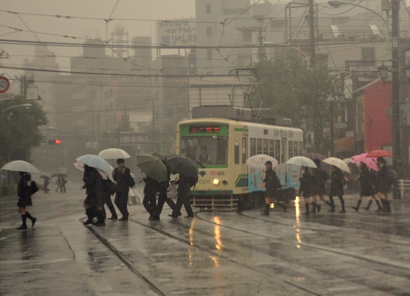 雨の都電荒川線