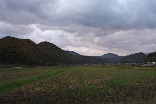 夜明け頃。