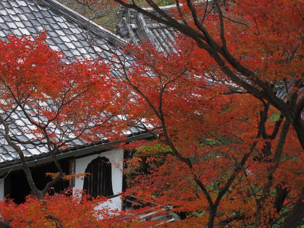 山寺の秋
