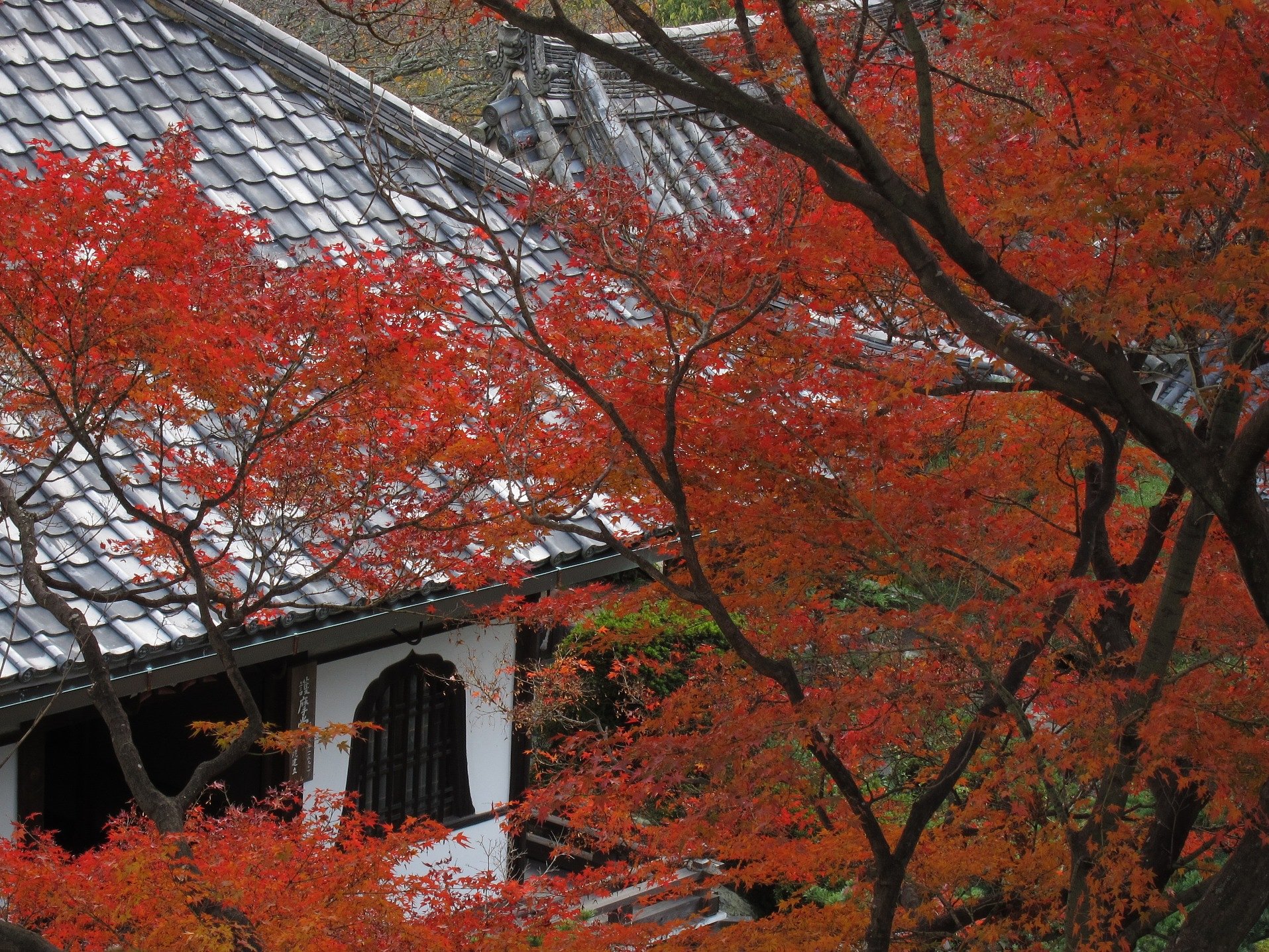 山寺の秋