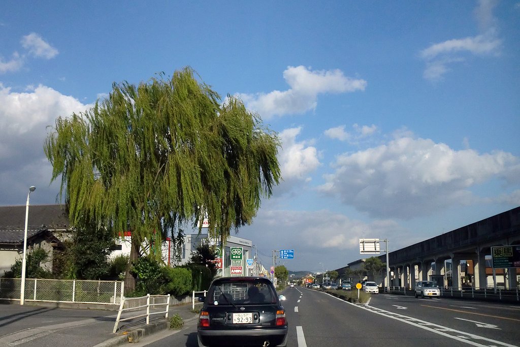 秋晴れの国道
