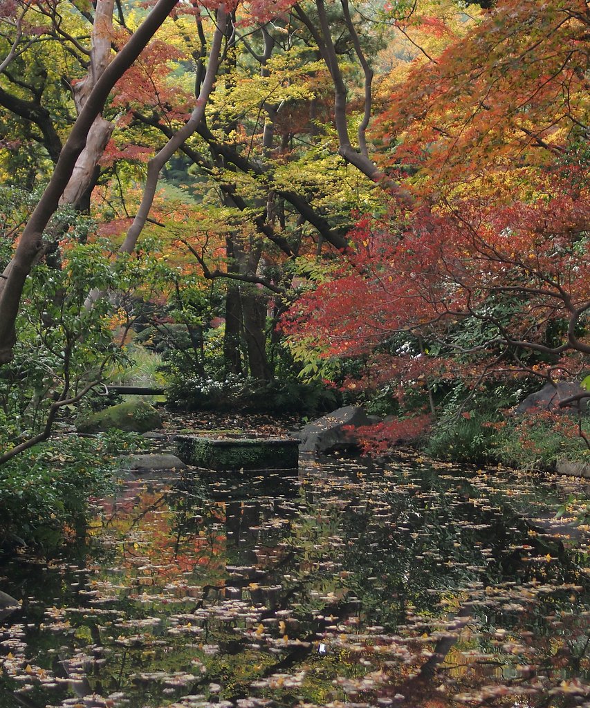 行く秋を惜しむ