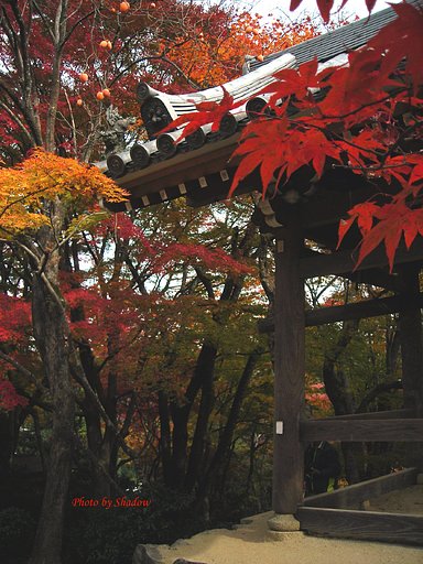 常寂光寺