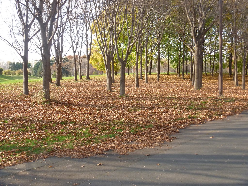 公園2
