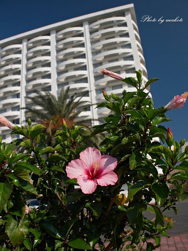 Resort
