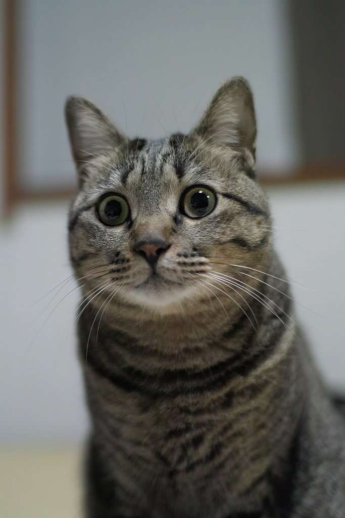30ミリ