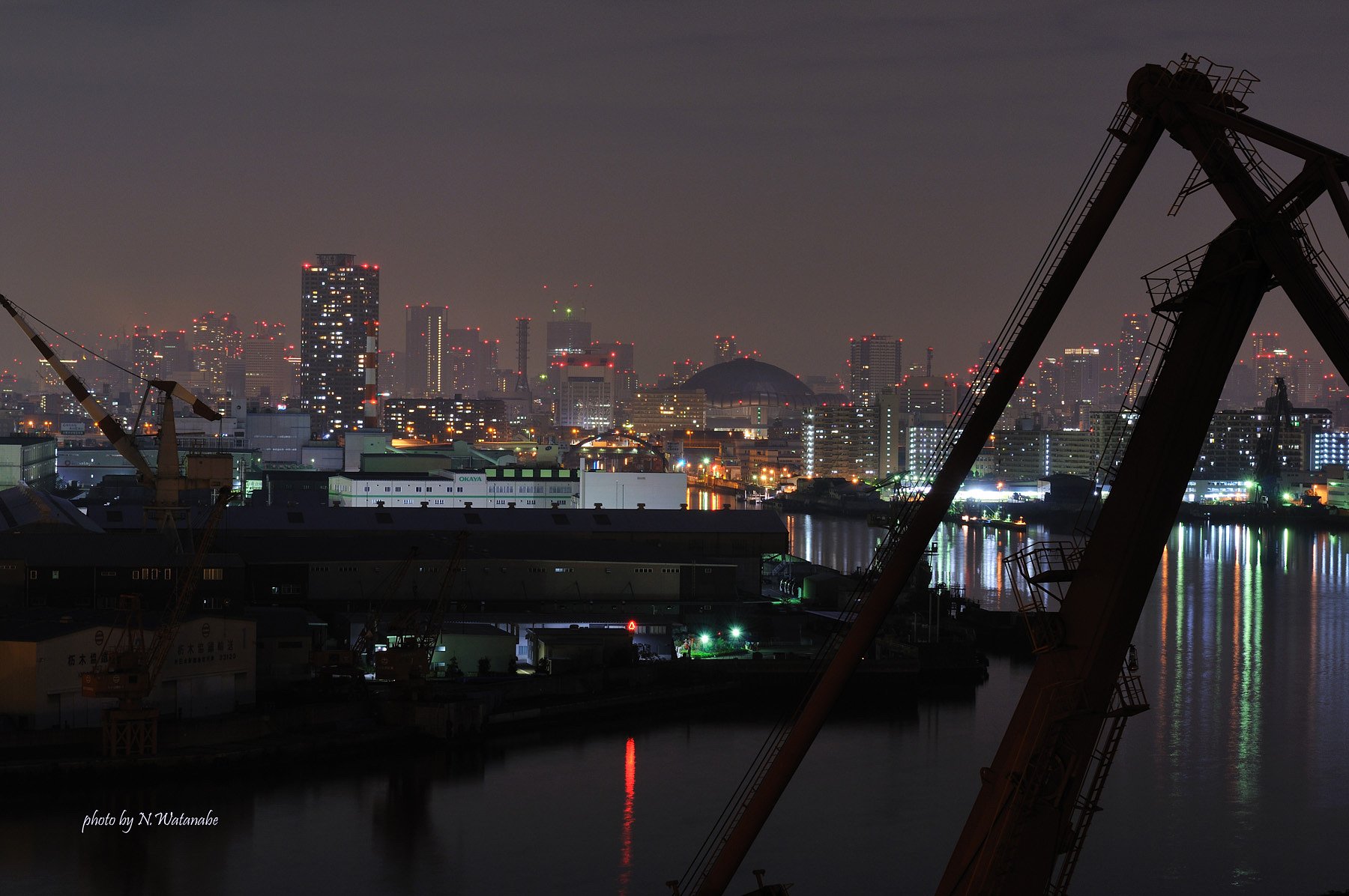 キリンさんと大阪夜景