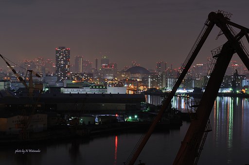 キリンさんと大阪夜景
