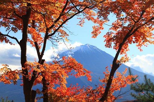 紅葉