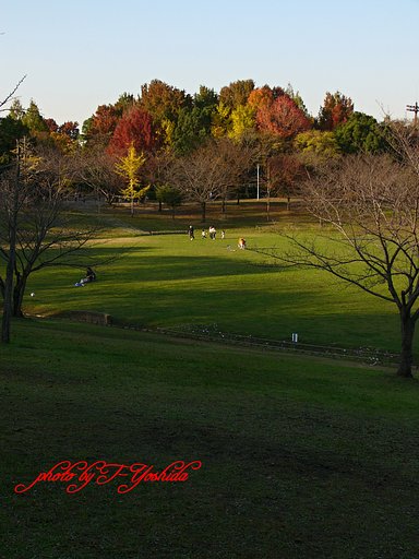 ＳｕｎｄａｙＰａｒｋ