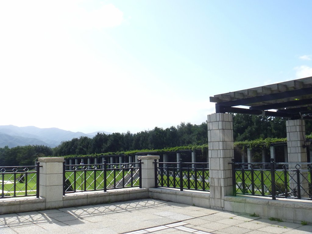 公園8