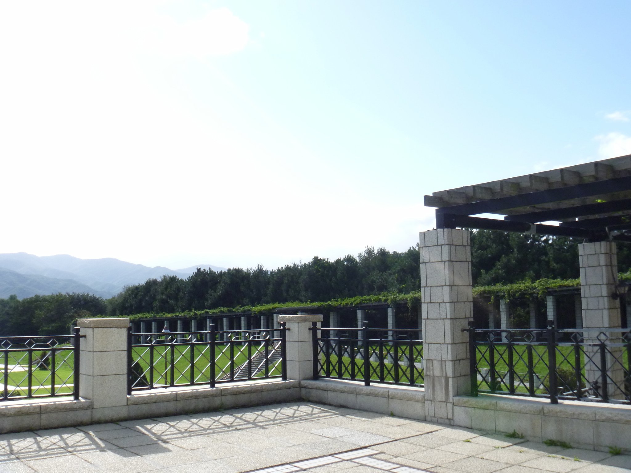 公園8