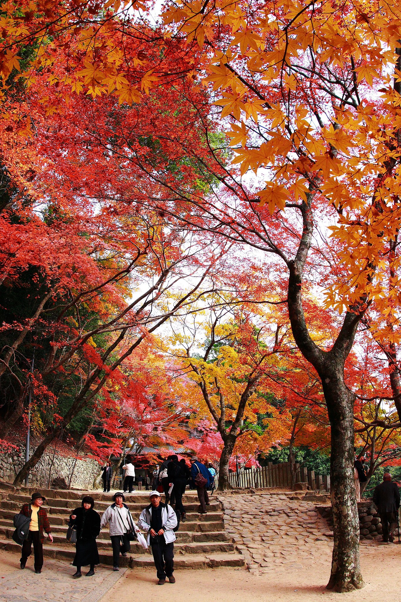 永源寺２