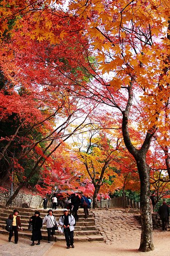 永源寺２