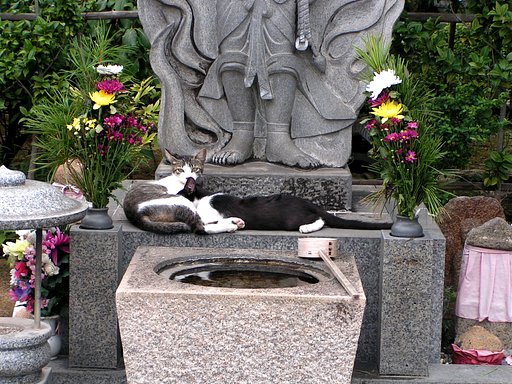 にゃに？