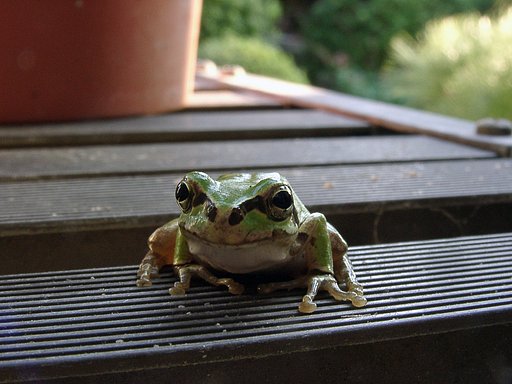 【逆光】ボク陰が好き