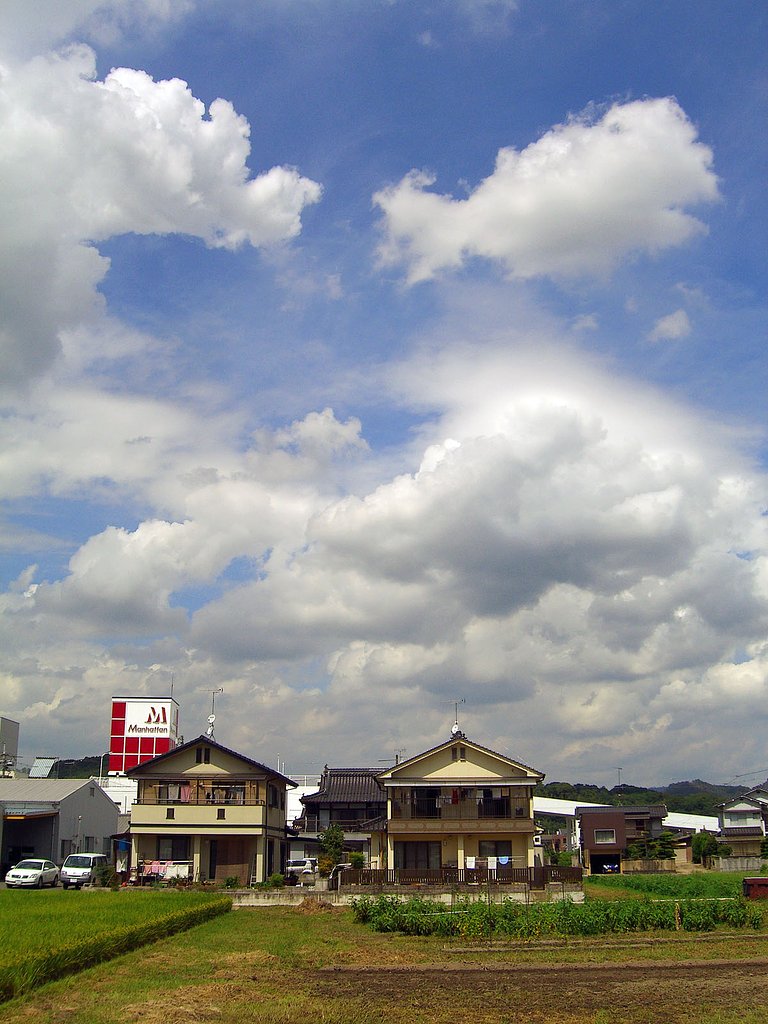 夏去らず