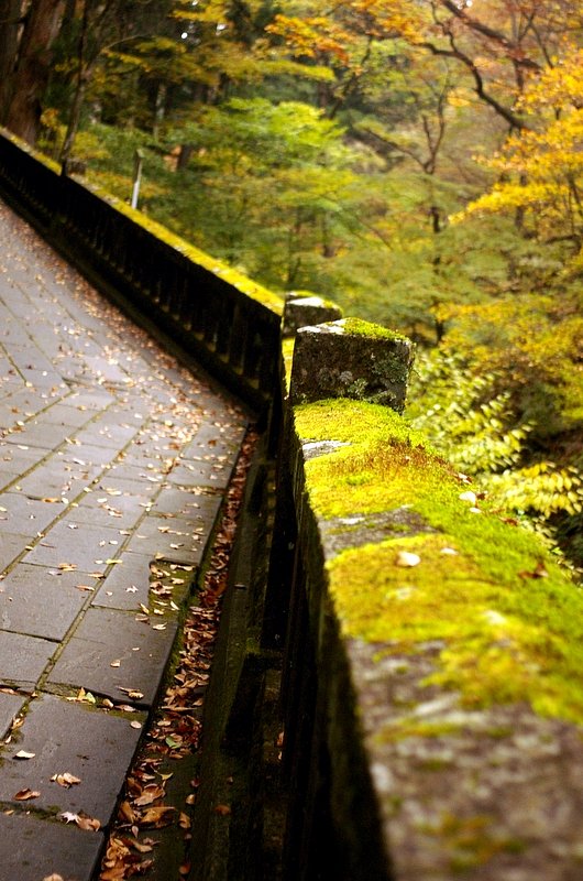 苔むした手摺