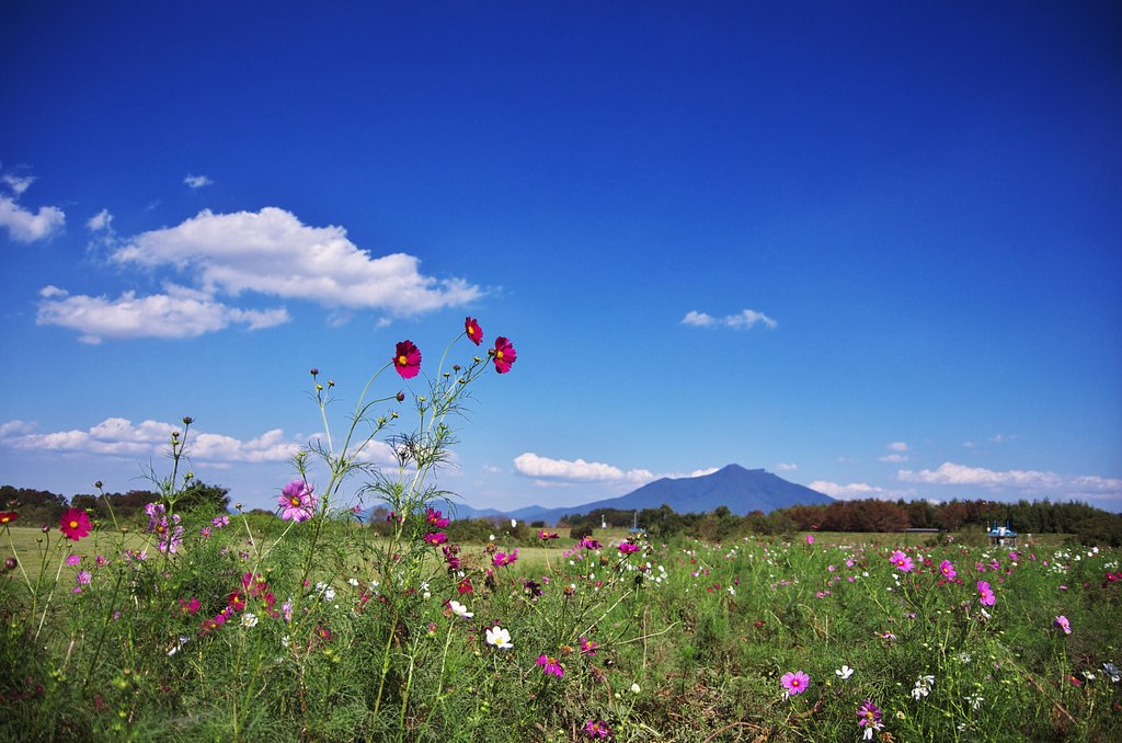 青【空】に向かって・・・