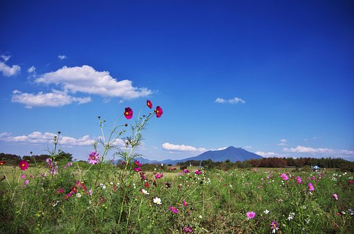 青【空】に向かって・・・