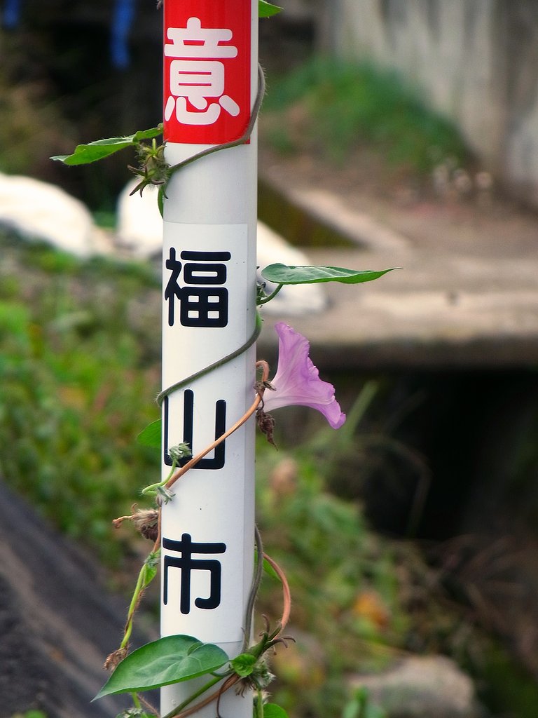 釣瓶が無くて