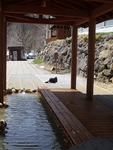 足湯