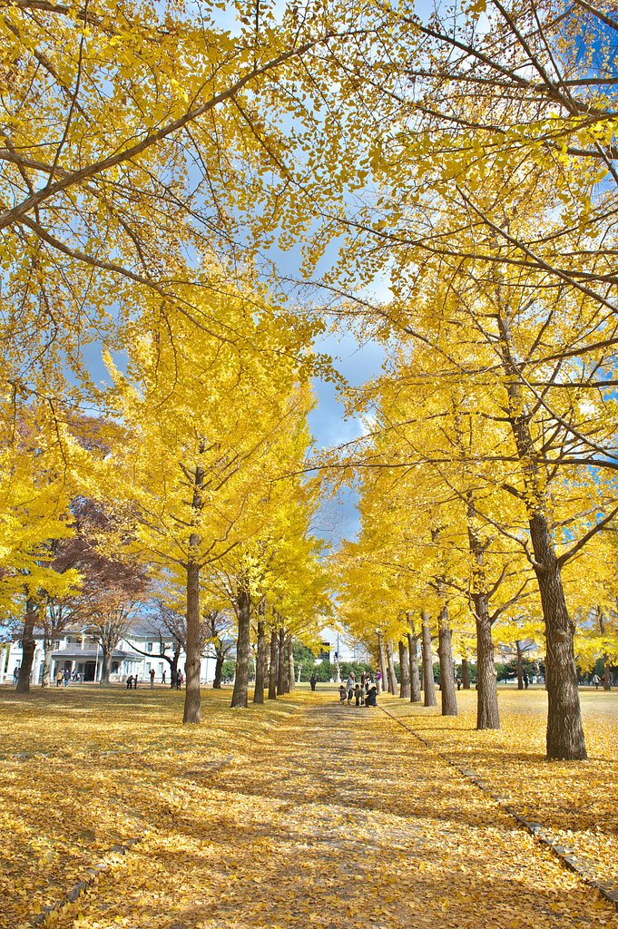 yellowgarden・・・