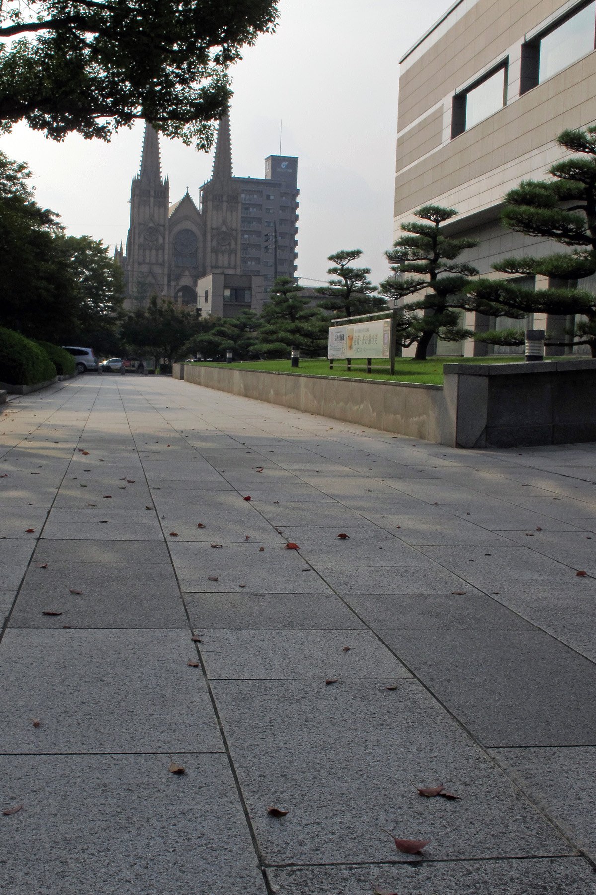 冬の予感