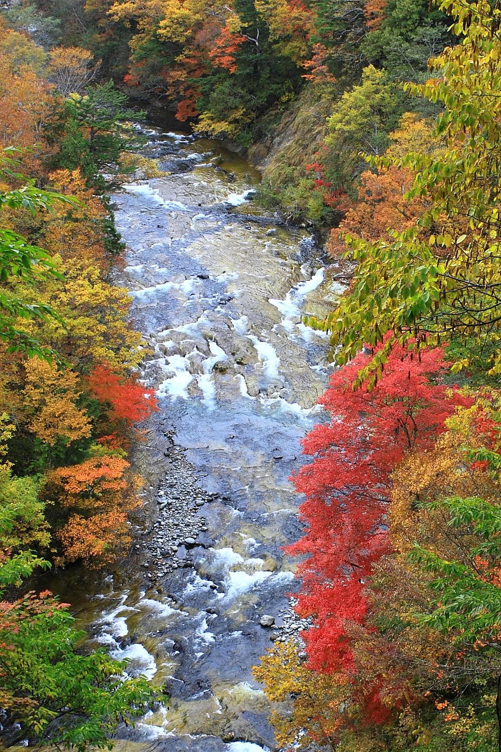 奥志賀情景（雑魚川）
