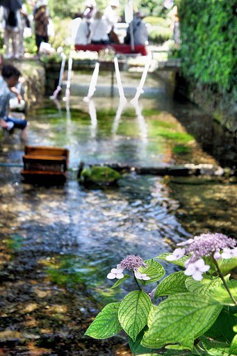 【縦撮り】 雰囲気だけ