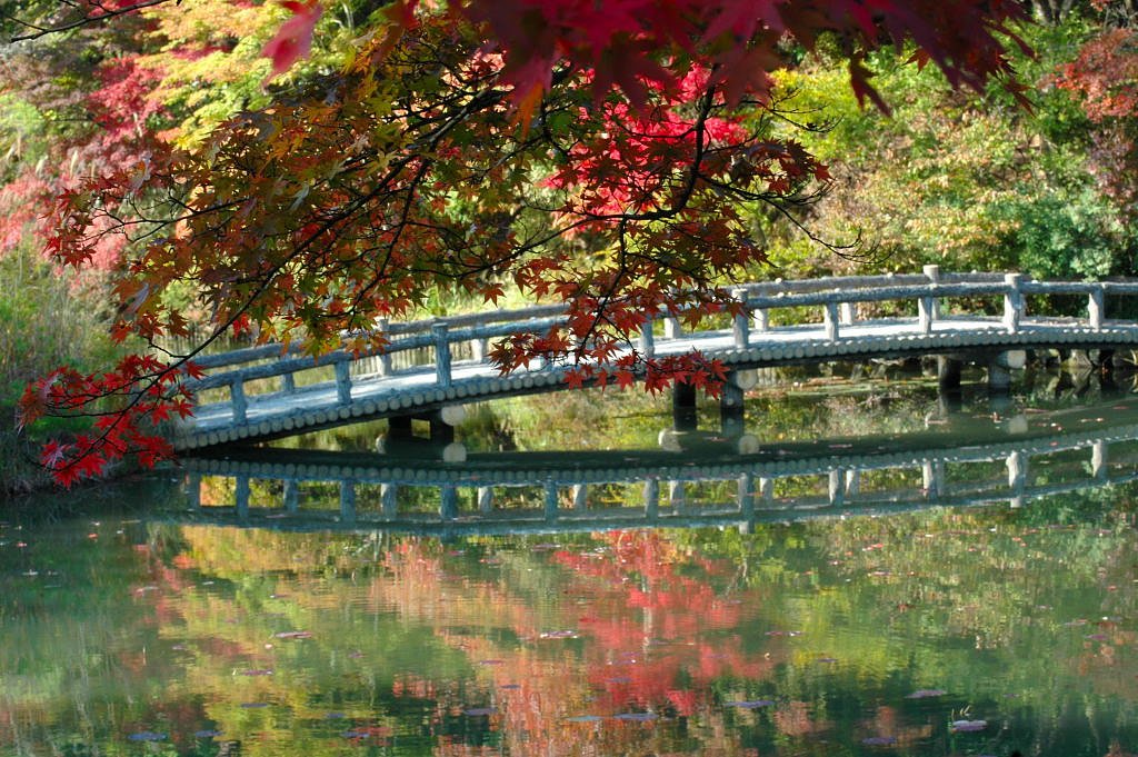 紅葉② sigma 70-200㎜