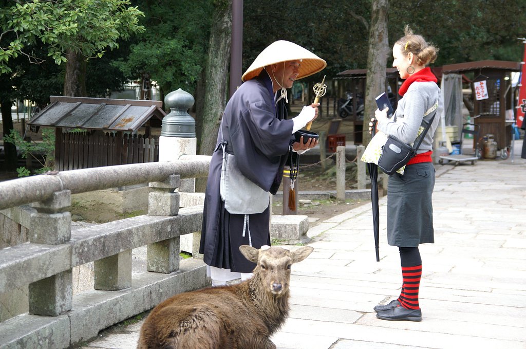 奈良公園