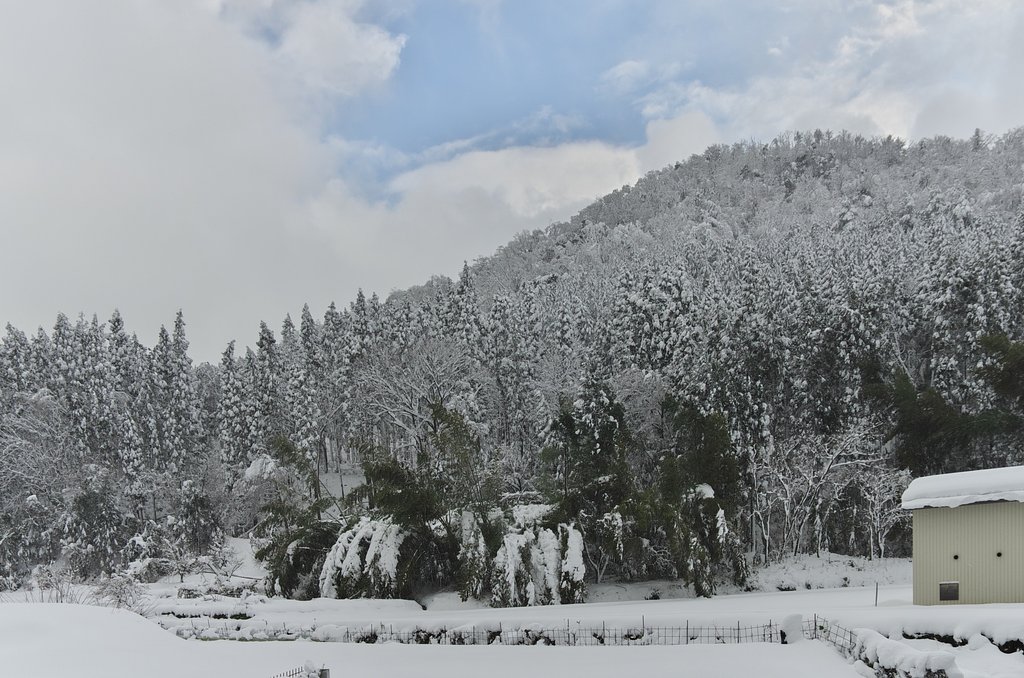 大雪の畑・・