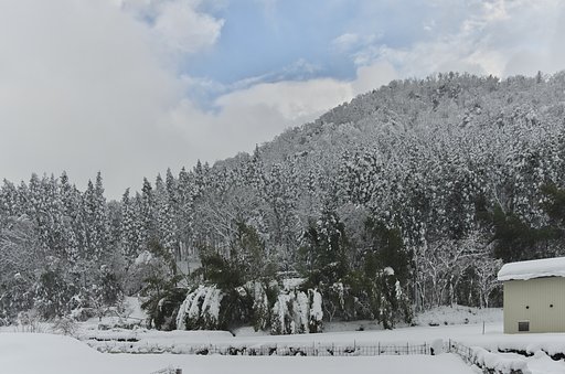 大雪の畑・・