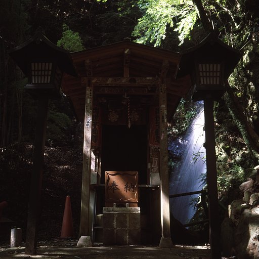 新年のお参り