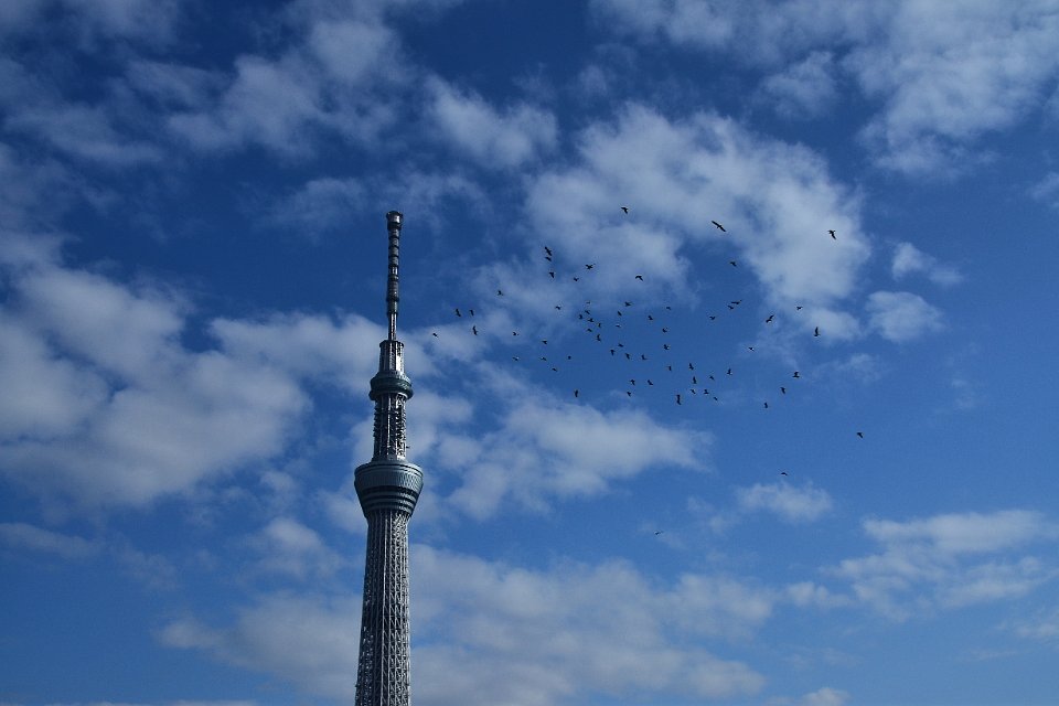 明けましてスカイツリーフライトチーム