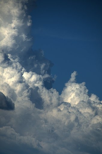 【縦撮り】入道雲がモクモクと