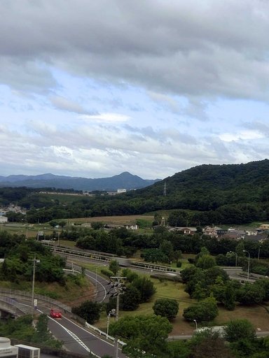 【縦撮り】台風一過