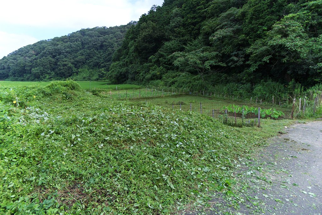草刈正雄さんがお見えに。