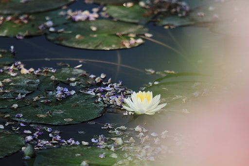 春から初夏へ