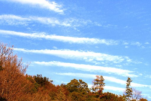 【空】好み色は難しい