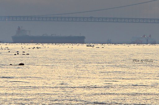 撃沈その２