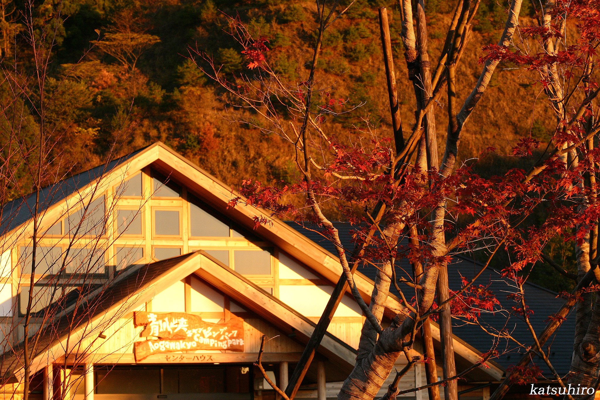 キャンプしてきやした！