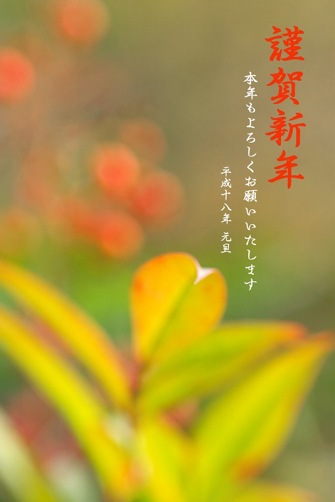 迎春